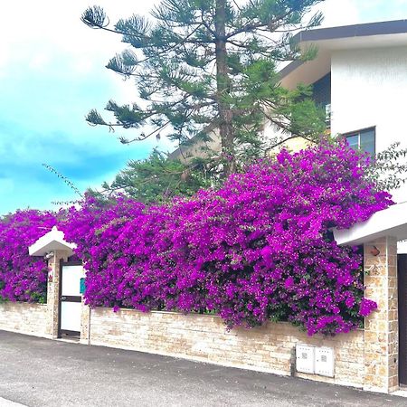 Tulipano Rosso Διαμέρισμα Μπάρι Εξωτερικό φωτογραφία